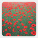 Search for war memorial stickers Remembrance