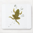 Recherche de grenouille verte tapis souris Longueur totale