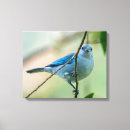 Search for blue grey canvas prints Bird