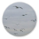 Recherche de volant boutons et poignées de porte Ailes
