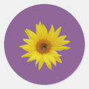 Search for bee background stickers Summer