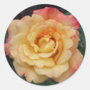 Search for beautiful rose stickers Garden
