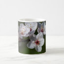 Search for plum blossom mugs Flowers