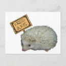 Search for hug postcards Animal