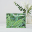Search for hedge postcards Plant