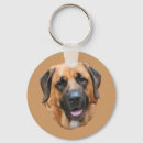 Search for mastiff keychains Pet