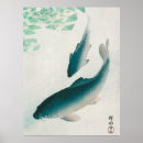 Search for carp posters Fish