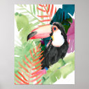 Search for tropical toucan posters Palm leaves