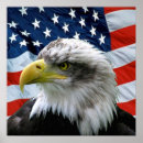 Search for eagle usa posters Stars and stripes