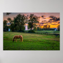 Recherche de danita delimont posters Grange