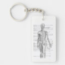 Search for anatomi keychains Human anatomy