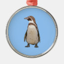 Search for animals of the wild ornaments Penguin