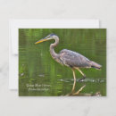 Search for hunters note cards Nature