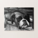 Search for boxer dog puzzles Black