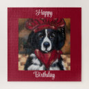 Search for newfoundland dog puzzles Chef