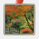 Search for wooden ornaments Tree