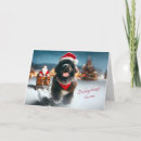 Search for newfie cards Newfy