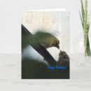 Recherche de nature birthday cards Oiseau