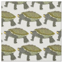 Search for terrapin Nature