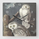 Search for snowy owl posters Audubon