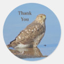 Search for beautiful bird stickers Thank you