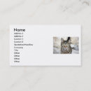 Recherche de egyptiens cartes visite Animaux