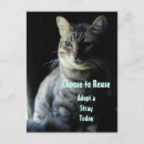 Search for adopted postcards Rescue