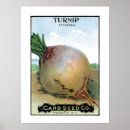 Search for turnip art Garden