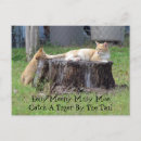 Search for mother cat postcards Mom