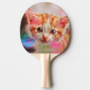 Recherche de chat domestique raquettes ping pong Mignon