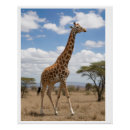 Recherche de savanne posters Girafe