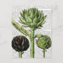 Recherche de artichoke cartes postales Fleurs