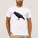 Search for corvids Wildlife