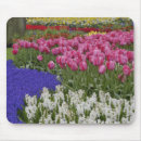 Search for grape mousepads White