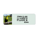 Search for bird return address labels Beach