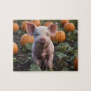 Search for pig puzzles Animal