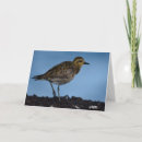 Search for migrating cards Migration