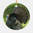 Search for wild turkey ornaments Turkeys