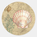 Search for white shell stickers Seashell