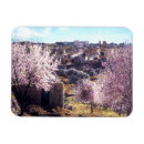 Recherche de oliviers magnets Pour tous