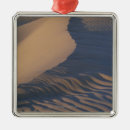 Search for dune ornaments Outdoors