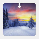 Search for scenery ornaments Snow