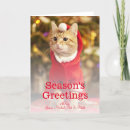 Search for male christmas cards Pets