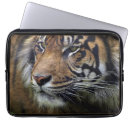 Search for sumatran cases Tigers