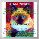 Search for funny cat quotes posters Sleeping
