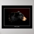 Recherche de ours noirs posters Pour eux