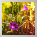 Search for weeding photography Floral