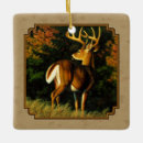 Search for deer hunting ornaments Wildlife