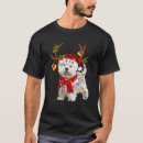 Search for bichon christmas clothing Santa