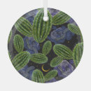 Search for mexican cactus ornaments Pattern